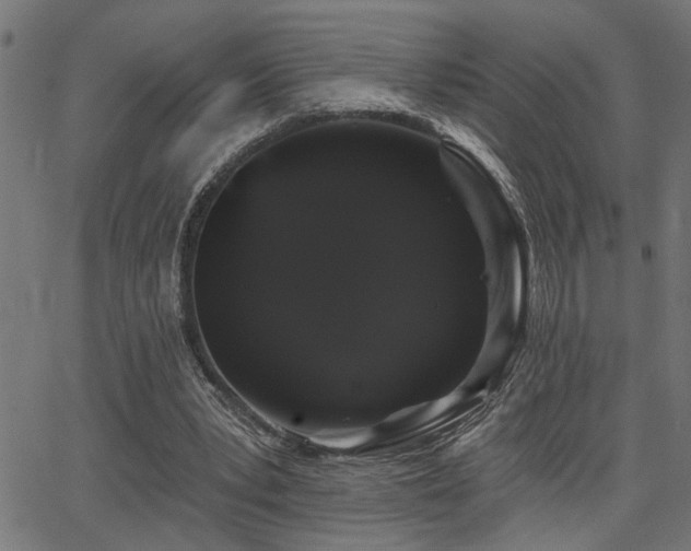 X0000065990391200603031201