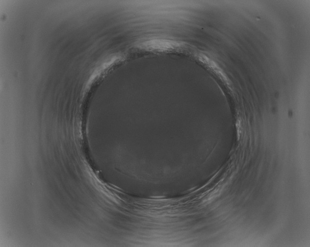 X0000065990399200603031201