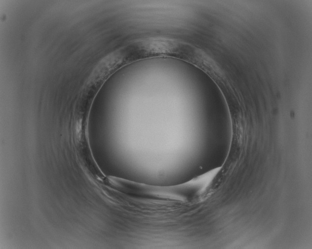 X0000065990406200603031200
