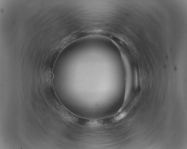 X0000065990425200603031200