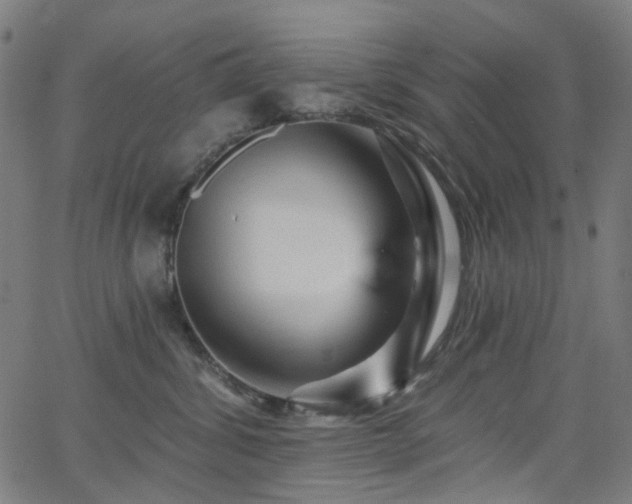 X0000065990428200603031200
