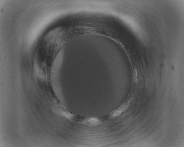 X0000065990431200603031200