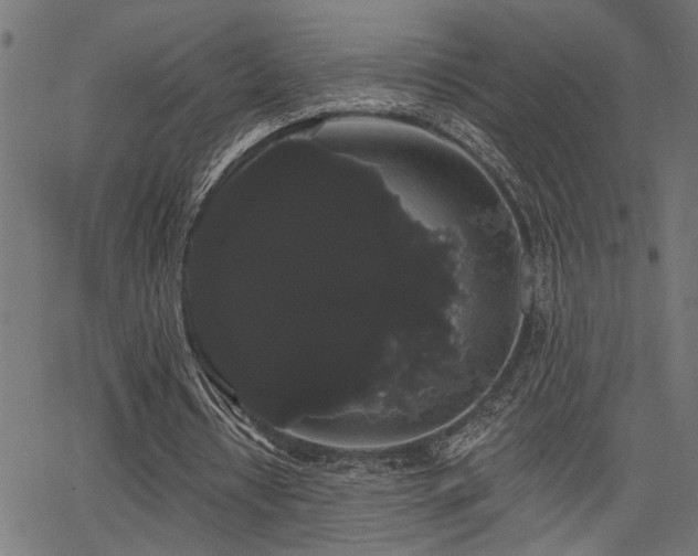 X0000065990434200603031159