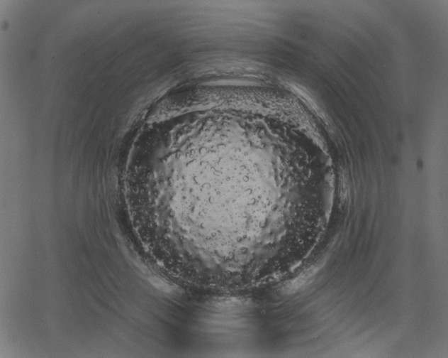 X0000065990453200603031200