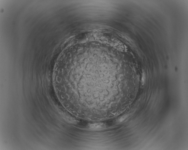 X0000065990461200603031200