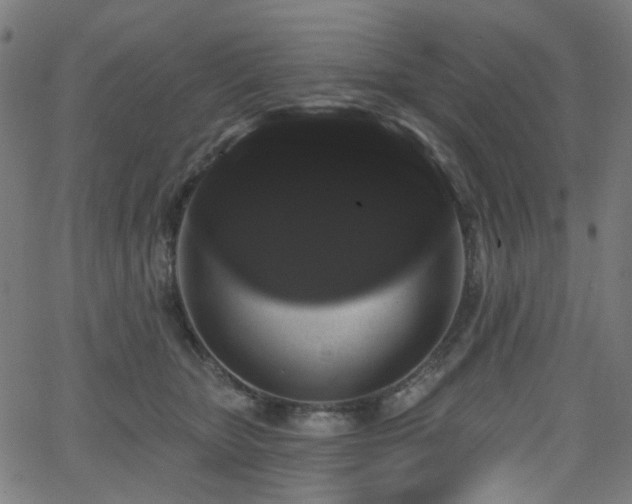 X0000065990467200603031200