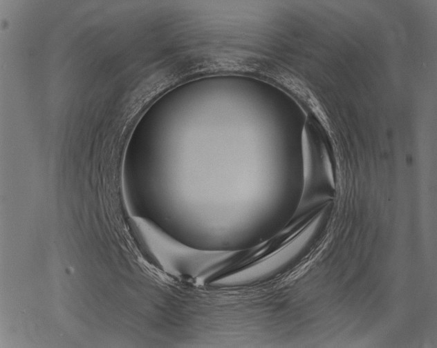 X0000065990481200603031159