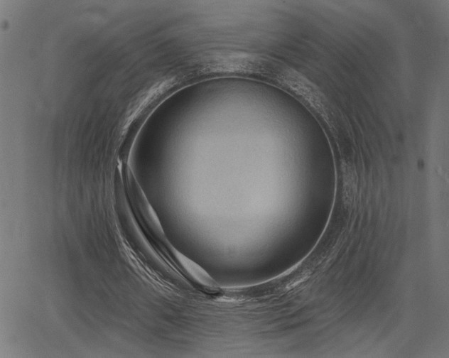 X0000065990482200603031159
