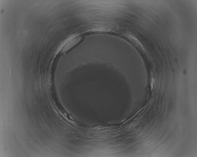X0000065990484200603031159