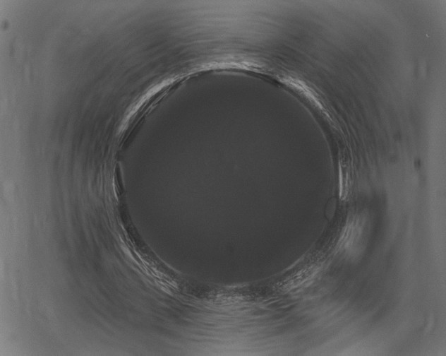 X0000065990531200603031158