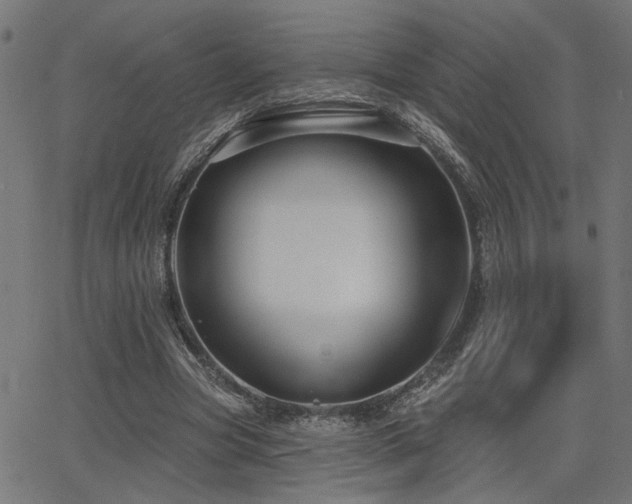 X0000065990537200603031158