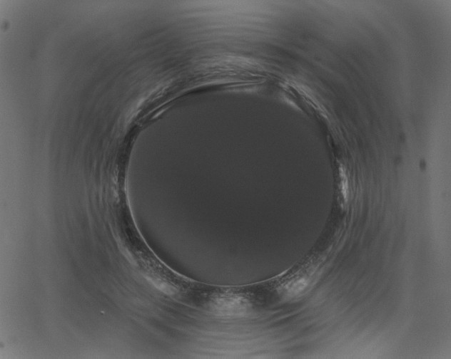 X0000065990547200603031158