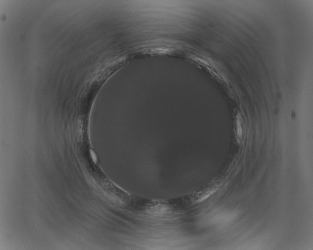 X0000065990551200603031158