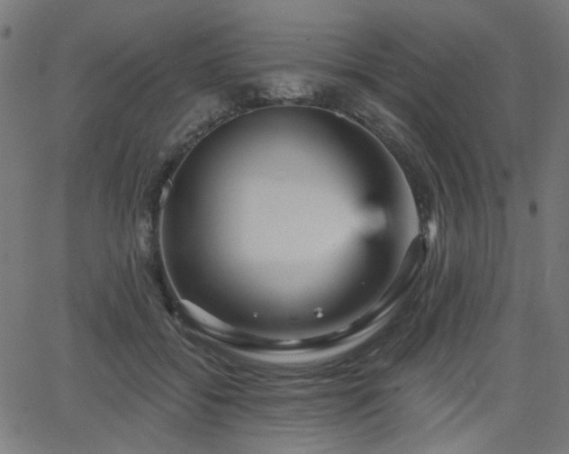 X0000065990556200603031158