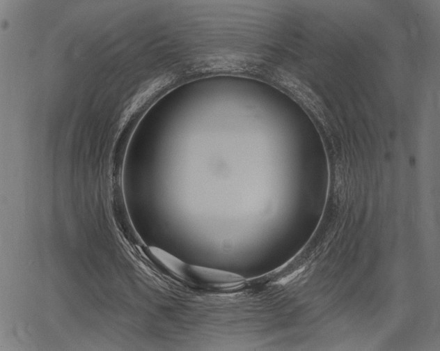X0000065990578200603031158