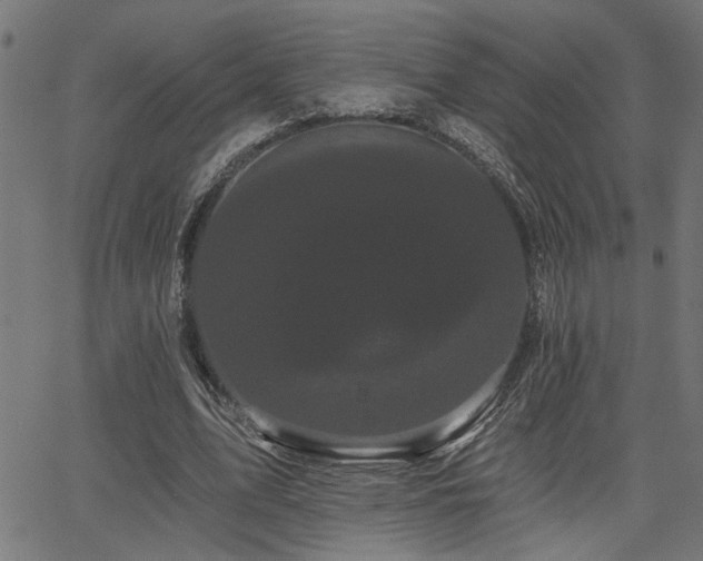 X0000065990583200603031158