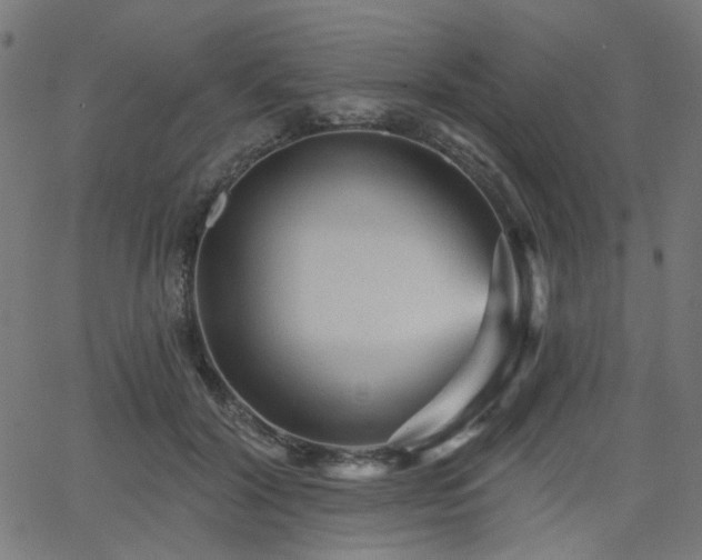 X0000065990604200603031157