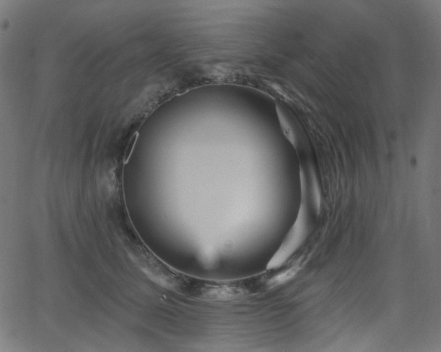 X0000065990611200603031157