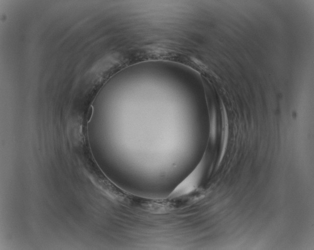 X0000065990615200603031157