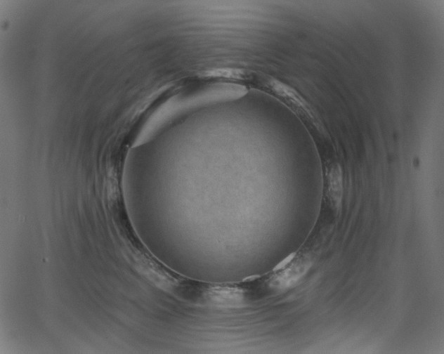 X0000065990617200603031157