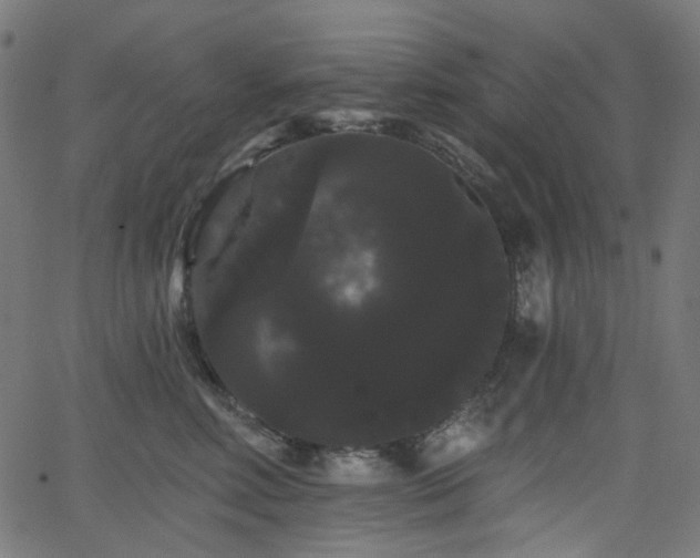 X0000065990618200603031157