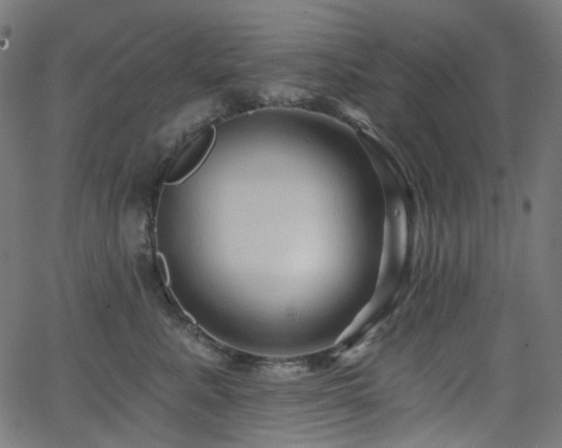 X0000065990619200603031157