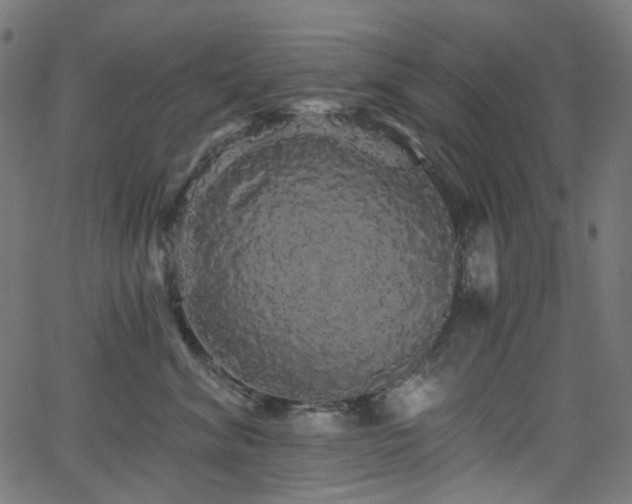 X0000065990620200603031157