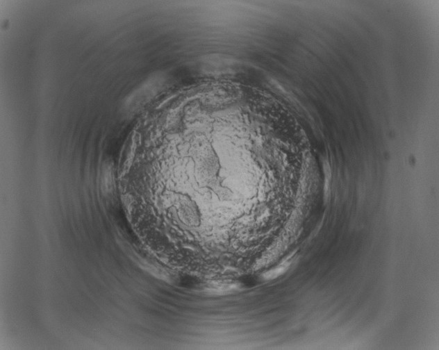 X0000065990623200603031157