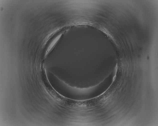 X0000065990640200603031156