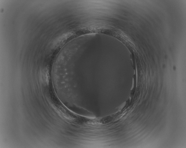 X0000065990644200603031156