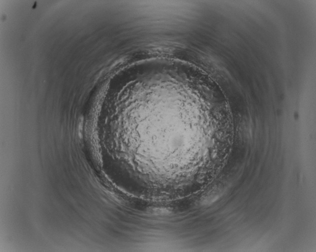 X0000065990649200603031156