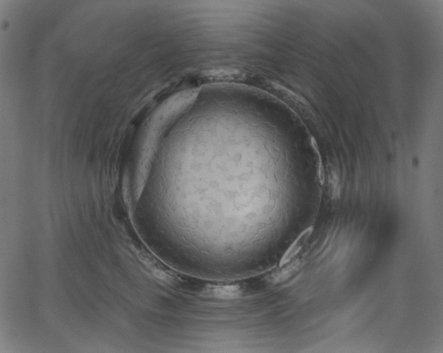 X0000065990665200603031157