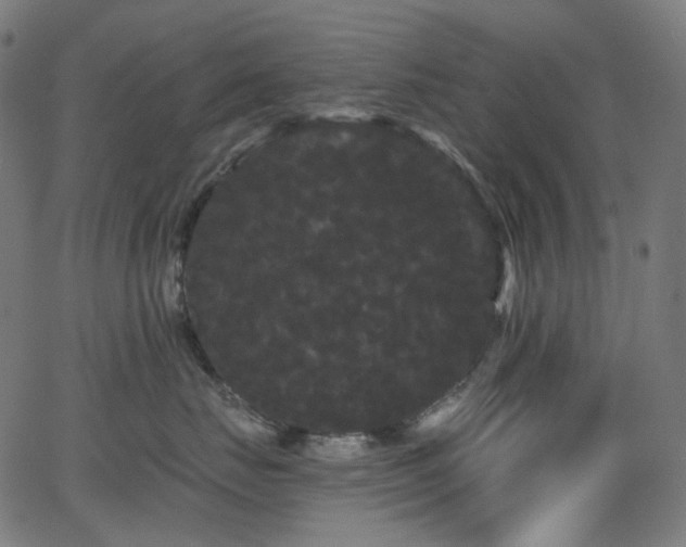 X0000065990671200603031157