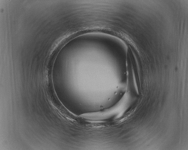 X0000065990676200603031156