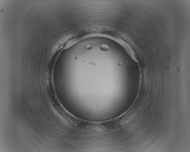 X0000065990683200603031156