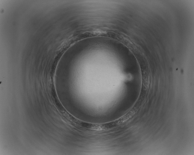 X0000065990704200603031156