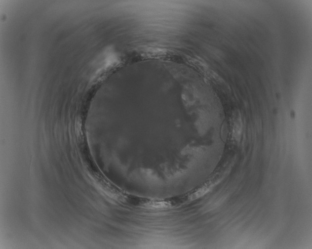 X0000065990711200603031155