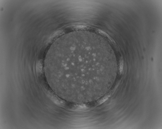 X0000065990715200603031155