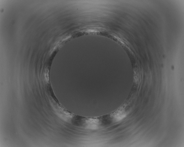 X0000065990718200603031155