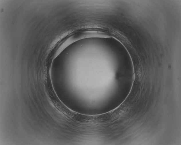 X0000065990732200603031155