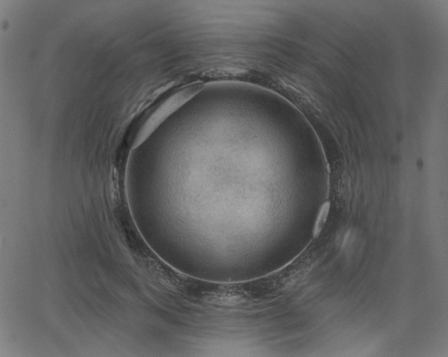 X0000065990743200603031155