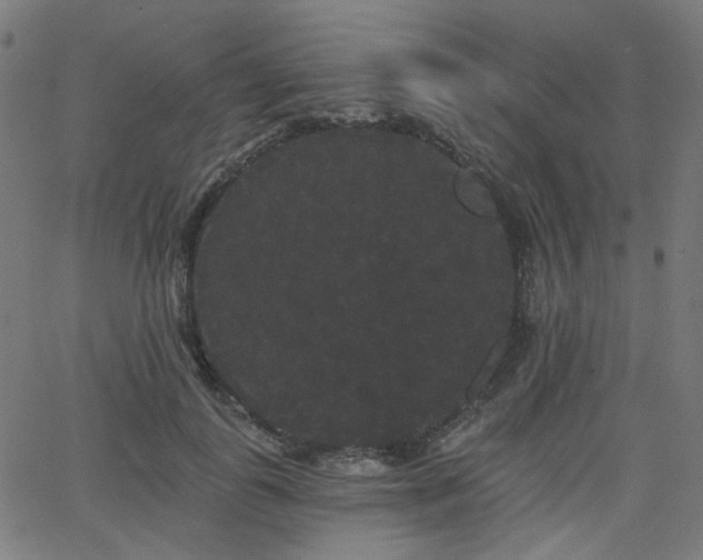 X0000065990747200603031155