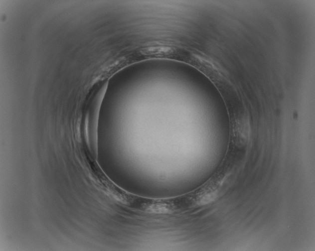 X0000065990751200603031155