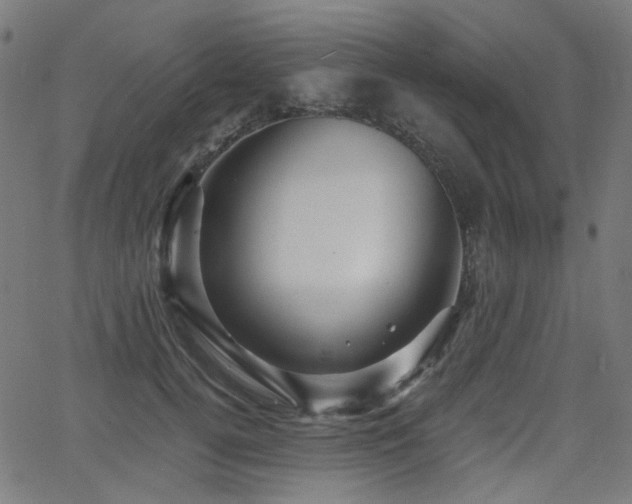 X0000065990752200603031155
