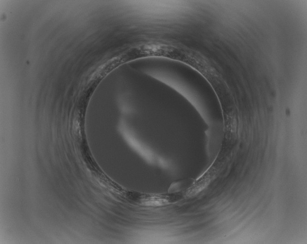 X0000065990754200603031155