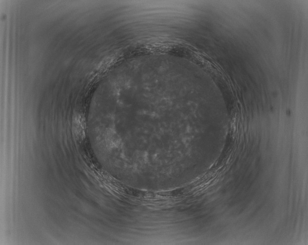 X0000065990772200603031154