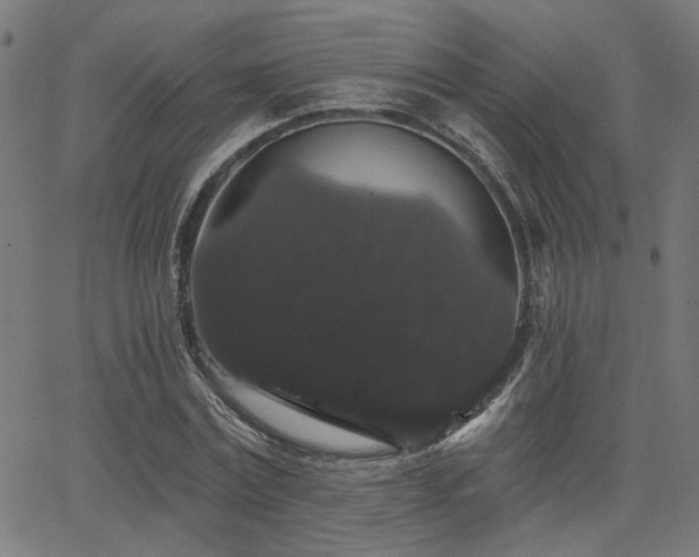 X0000065990779200603031154
