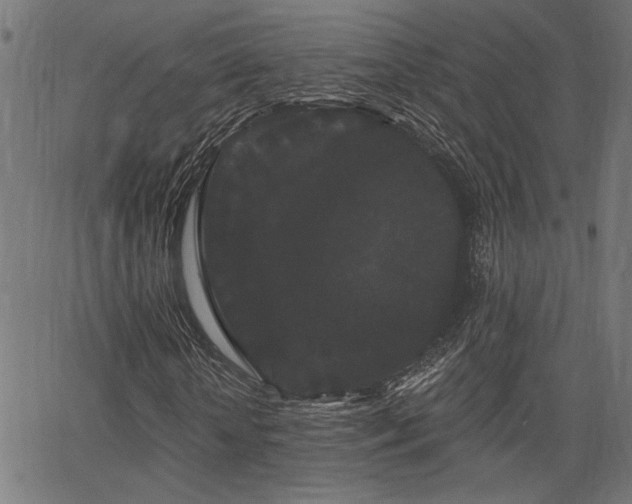 X0000065990818200603031153