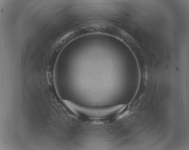 X0000065990822200603031153