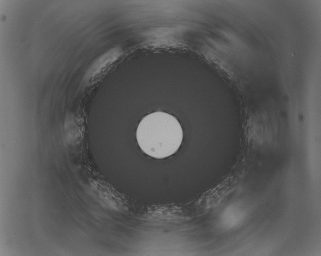 X0000065990824200603031153